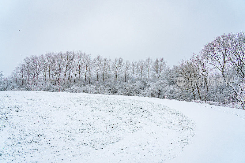 一个寒冷的早晨，本季的第一层雪