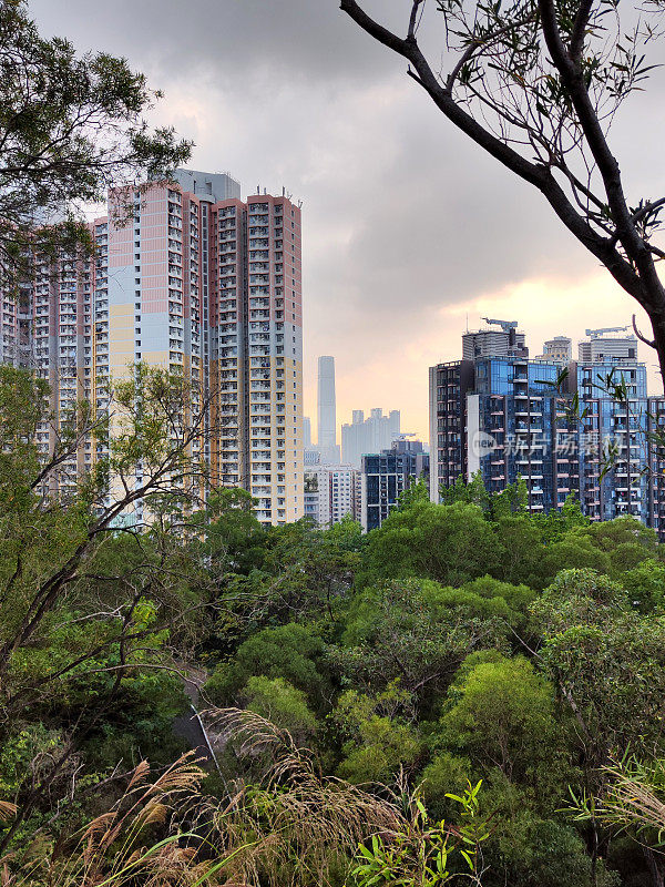 从香港土瓜湾鲗鱼涌山眺望