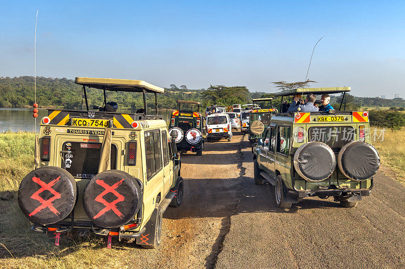 在肯尼亚的一次狩猎旅行中，一名游客正在拍摄野生动物。一名男子开着敞篷游猎车，带着相机在非洲旅行。内罗毕国家公园，肯尼亚。