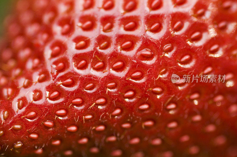 新鲜草莓表面的特写