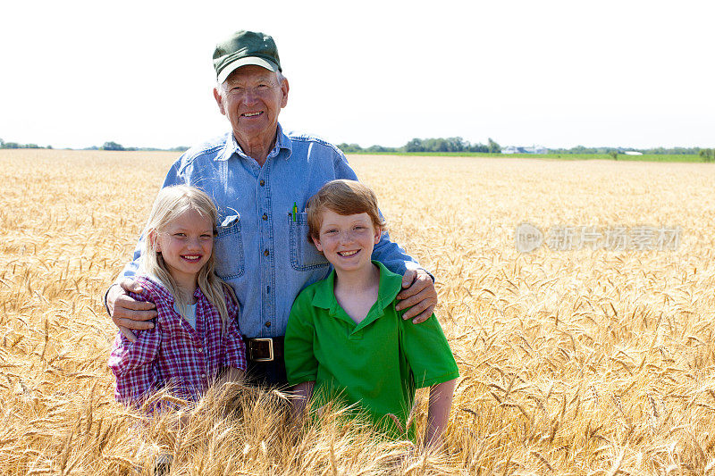 农民爷爷和孙子们站在麦田里