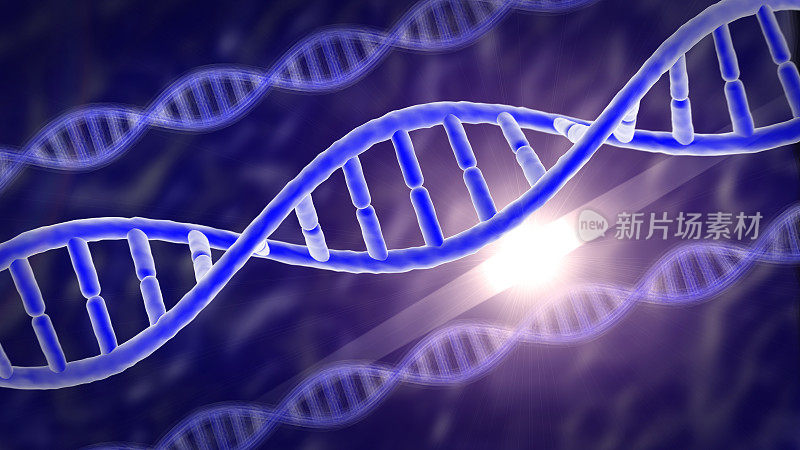 人类基因DNA