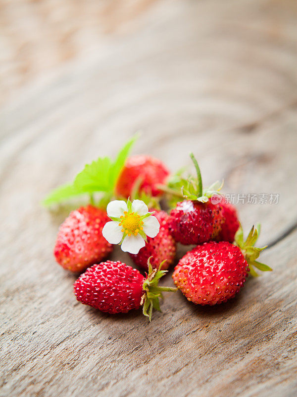野草莓。