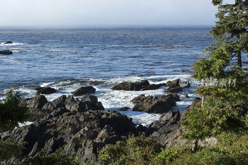 Ucluelet,温哥华岛