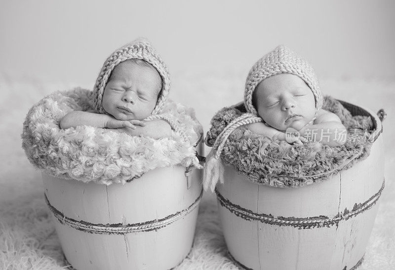 刚出生的双胞胎在桶里睡觉