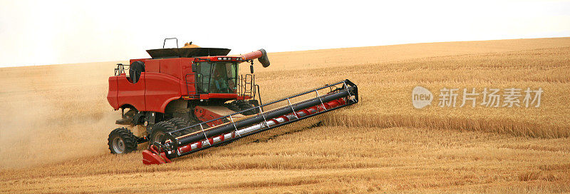 新红色联合收割机在大平原收获小麦