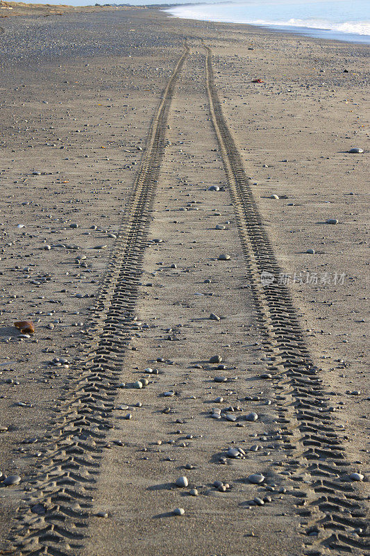 海滩上跟踪