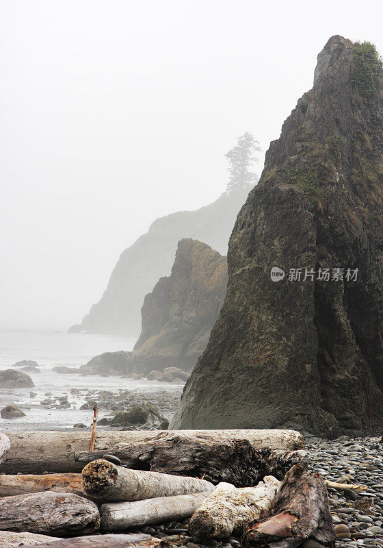 浮木原木雾红宝石海滩海堆栈