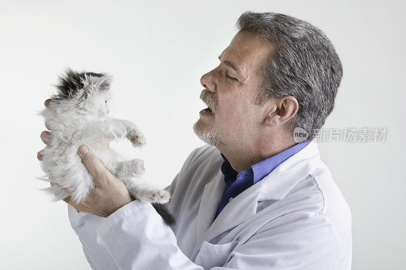 动物医生与小猫