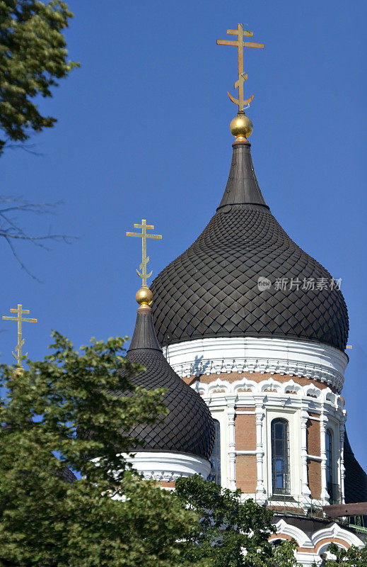 塔林的圣亚历山大涅夫斯基大教堂