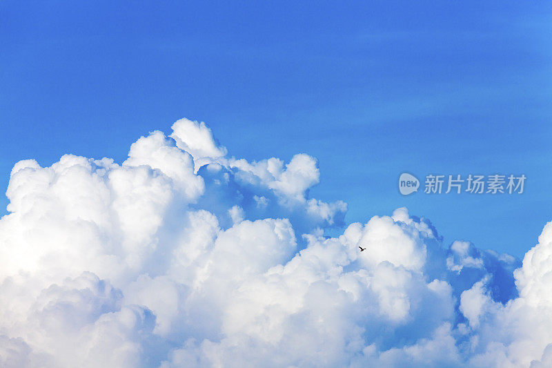 夏日蔚蓝的天空中飘着白云。