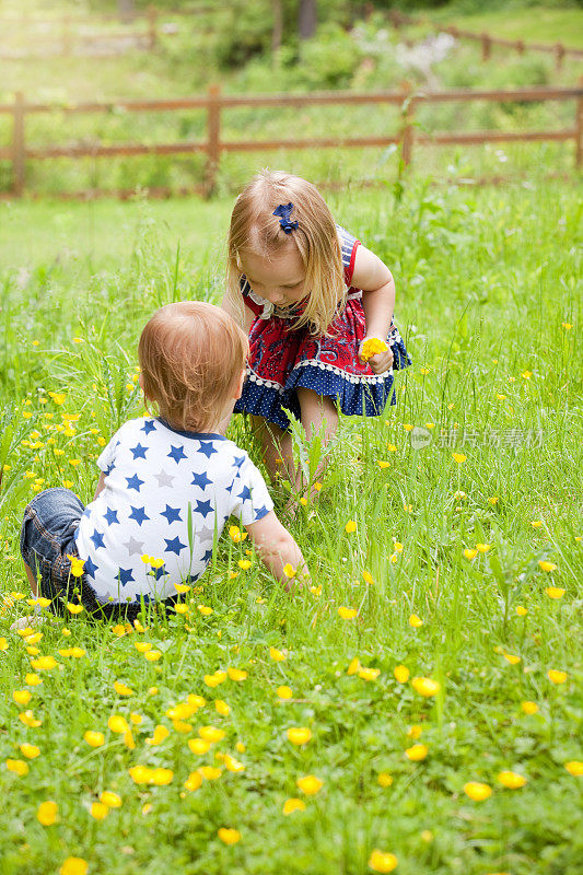 年幼的孩子采摘毛茛花