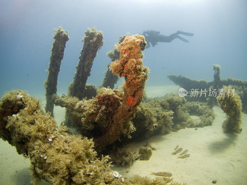 潜水员在调查沉船残骸