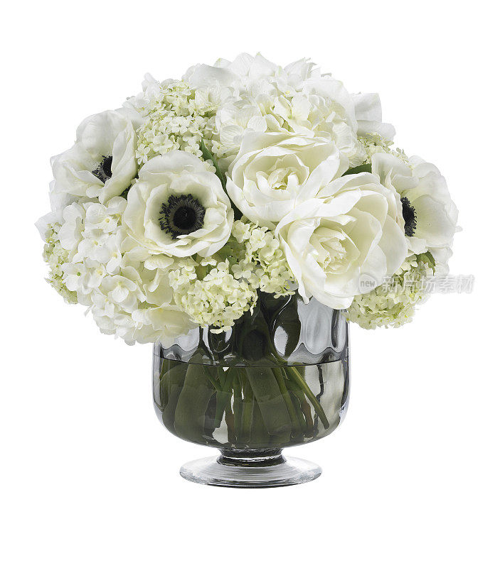 引人注目的白色孤挺花和银莲花花束在白色的背景上