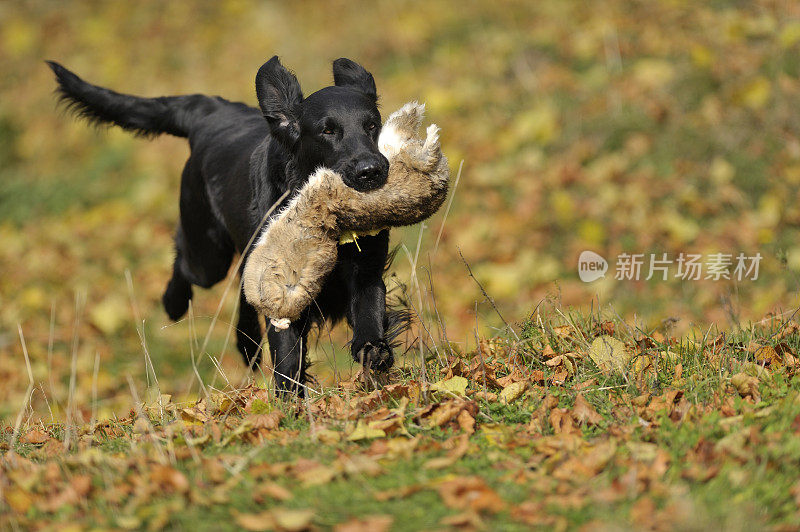 检索练习