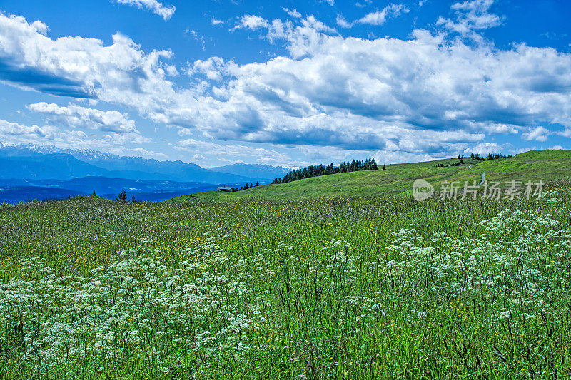 山South-Tirol