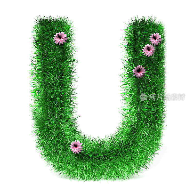字母U的草和花