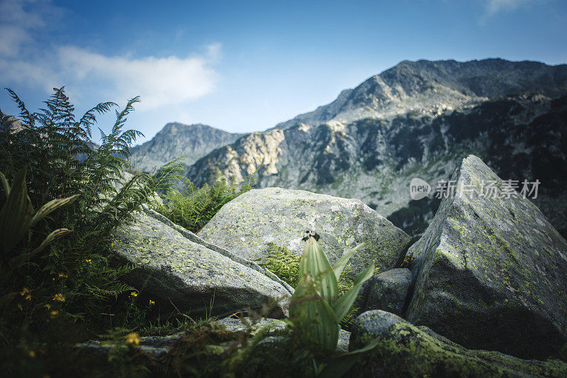 美丽的山的风景。关注前景上的大石头。