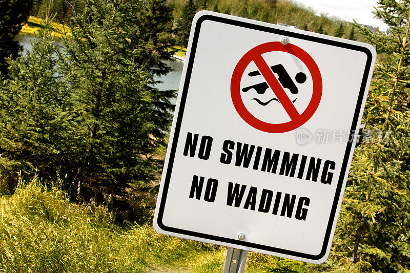 没有游泳的迹象