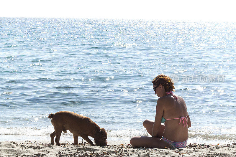 女人和狗在海滩上