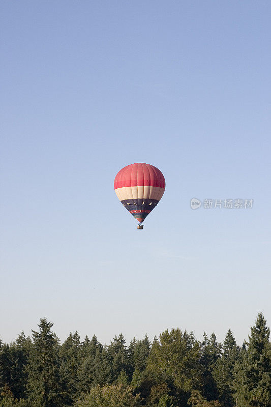 热气球漂浮在树的上方
