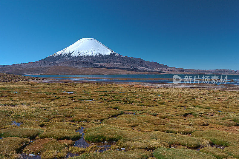 智利劳卡国家公园的帕里纳科塔火山