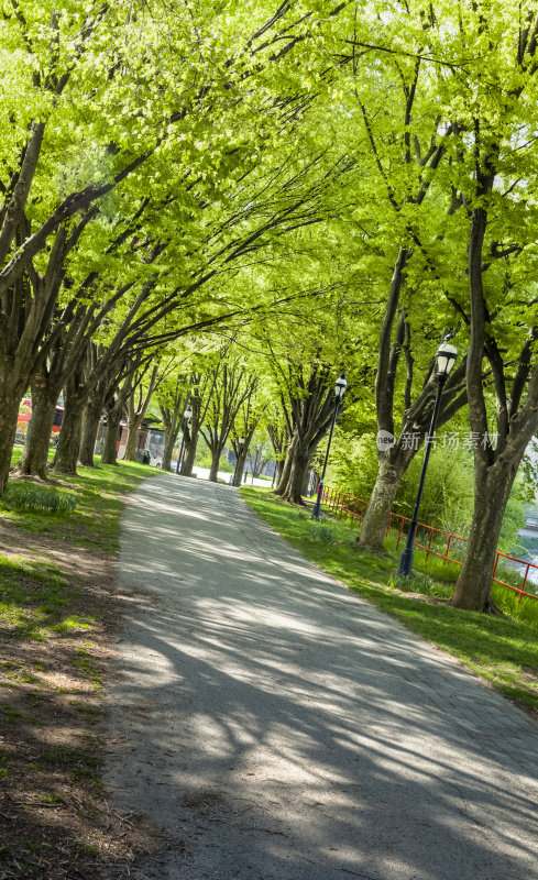 春天沿着遗产铁路步道县公园