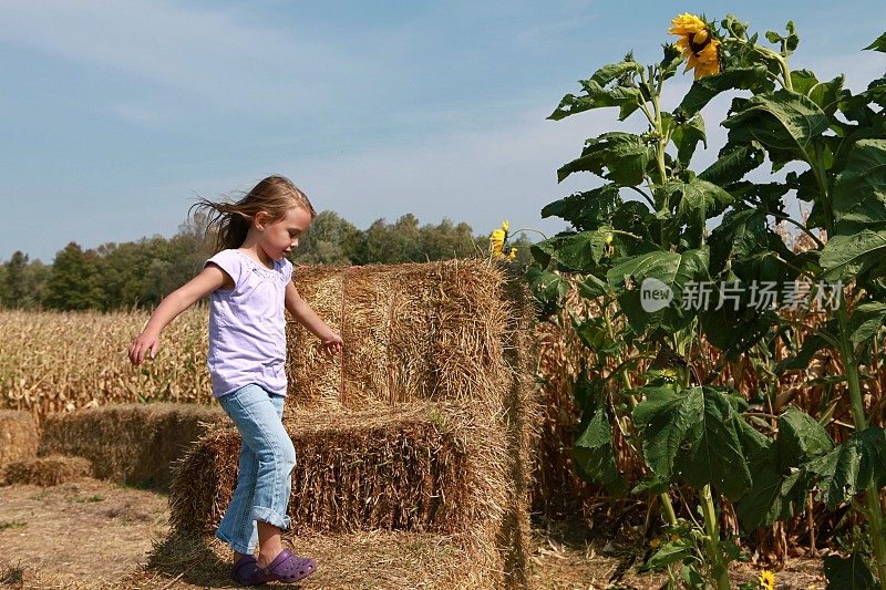 小女孩在干草堆上玩