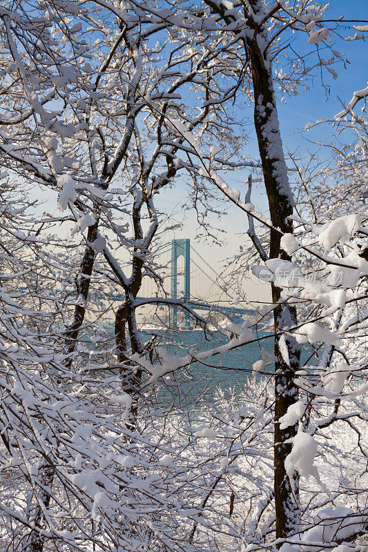 纽约下雪了。