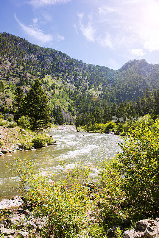 风景优美的蒙大拿景观河在夏季环境