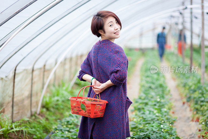 一个亚洲女孩站在草莓地里，吃着新鲜的水果