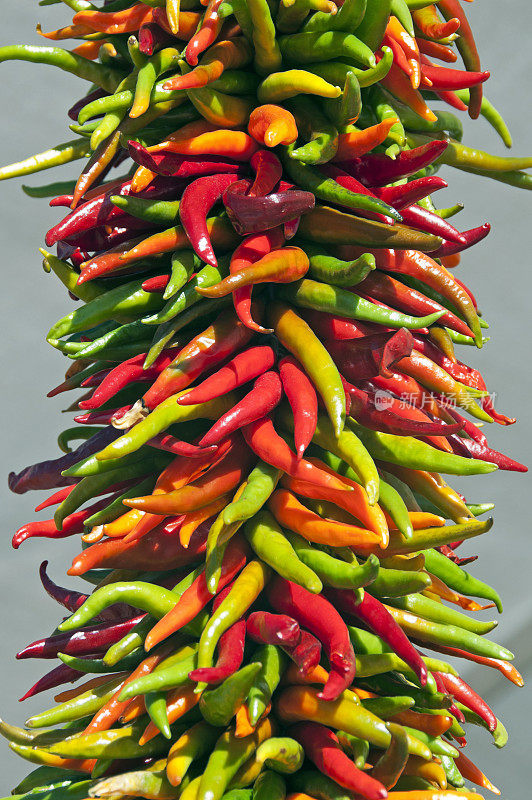 在新墨西哥州的农贸市场出售辣椒酱