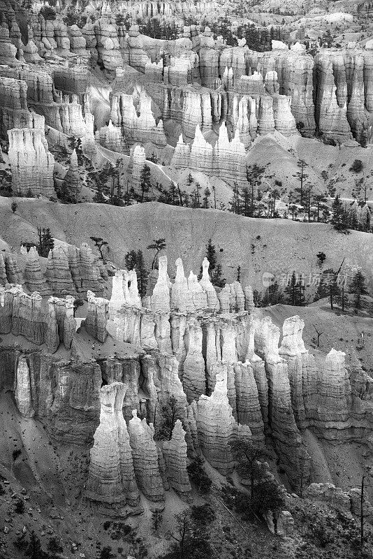 犹他州布莱斯峡谷的hoodoo抽象黑与白