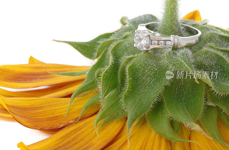 坐在向日葵上的钻石结婚戒指