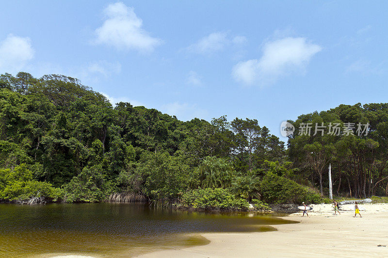 加蓬，Estuaire省，Pongara国家公园，冲浪者。