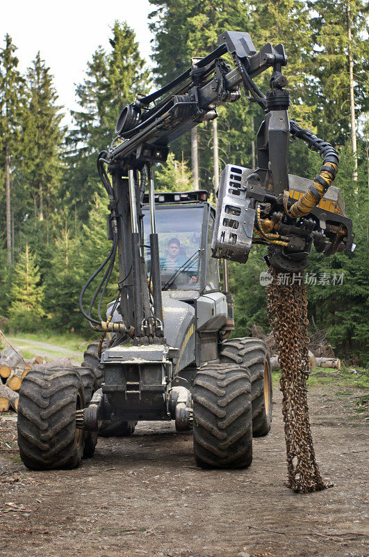 使用森林机械采伐