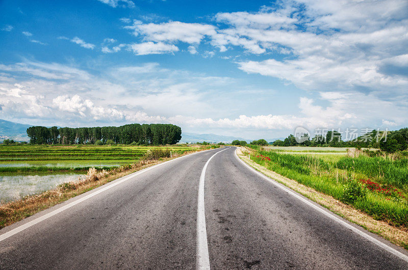 绿野环绕的乡村公路