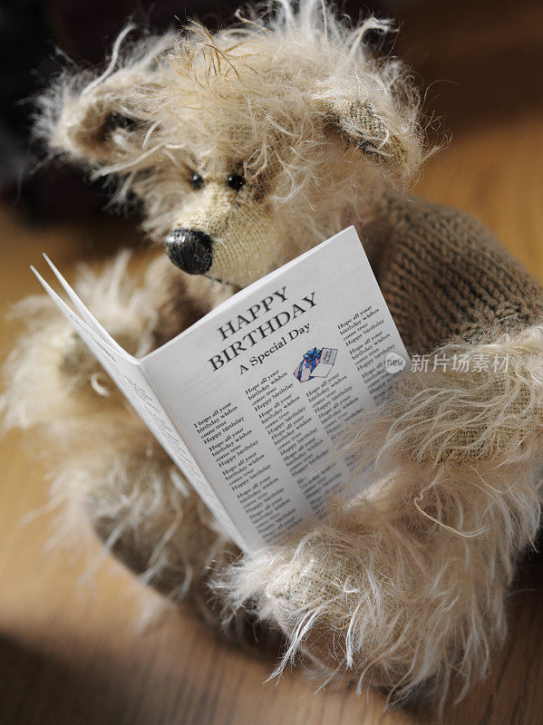 泰迪在生日那天看报纸