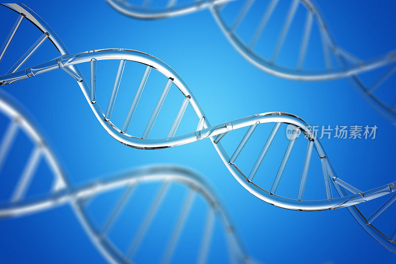DNA螺旋结构的3D插图