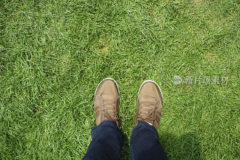 走在绿色的草地上