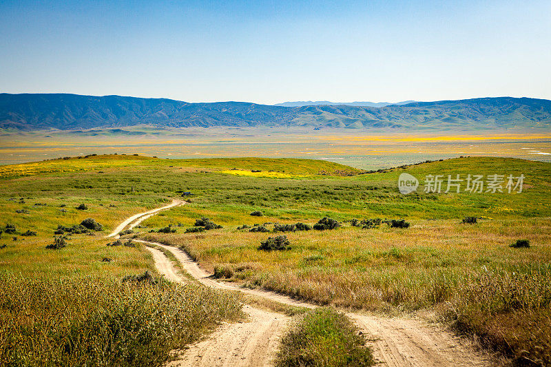 埃尔克霍恩路，蜿蜒穿过卡里佐平原国家纪念碑的土路