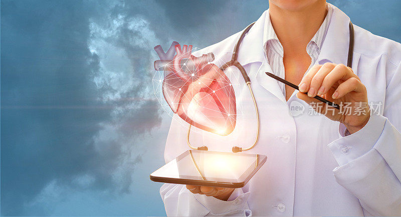 心脏病专家展示心脏。