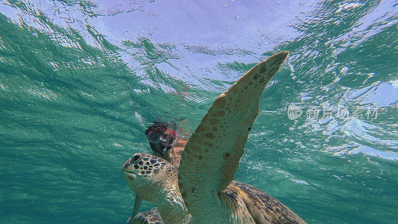 那个女孩在海龟旁边游泳。红海。终于阿拉姆