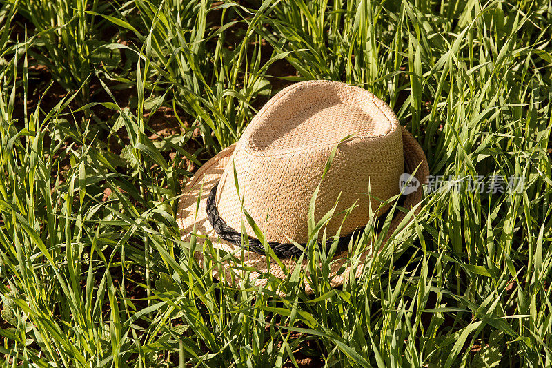 草帽在草地上