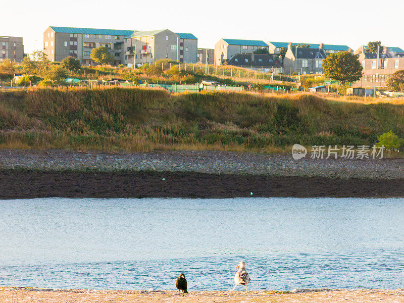 阿伯丁城市天际线托里和巴尔纳格斯克地区