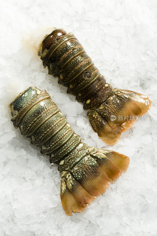 新鲜的生龙虾尾在冰上