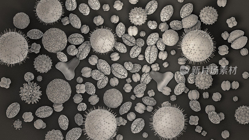 不同种类花粉的3d插图