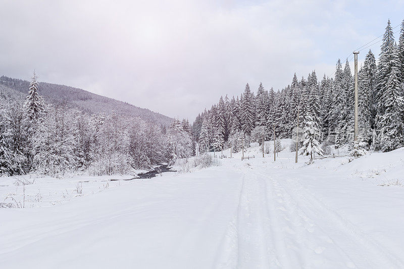 喀尔巴阡的雪地上有轮胎印的道路