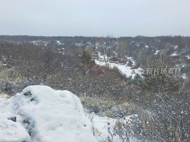 白色风景-科罗拉多州西部高海拔冬季降雪