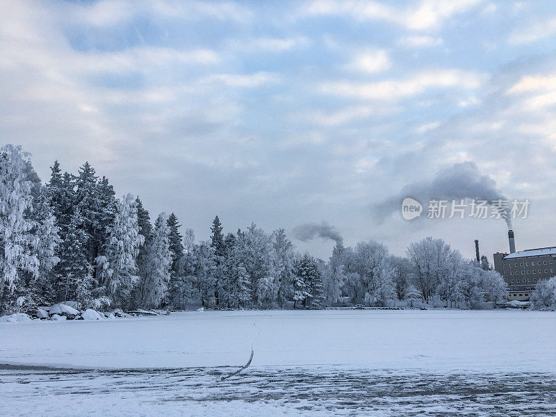 芬兰坦佩雷附近的白雪覆盖森林